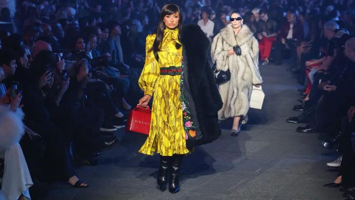 Gucci dần trở nên “quá nhiều” đối với một nhóm khách hàng mới