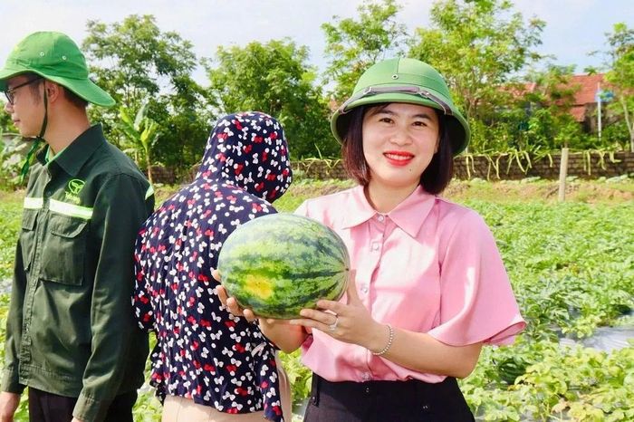 Để nâng cao giá trị sản xuất của cây dưa hấu, người trồng dưa xã Nga Sơn đã áp dụng các biện pháp khoa học - kỹ thuật vào sản xuất, bảo đảm sản lượng, chất lượng; mở rộng diện tích dưa hấu sản xuất theo tiêu chuẩn VietGAP. Đồng thời, phát triển cây dưa hấu theo chuỗi giá trị nhằm bảo đảm chất lượng, tiêu chuẩn và xây dựng thương hiệu dưa hấu Nga Sơn theo hướng bền vững.