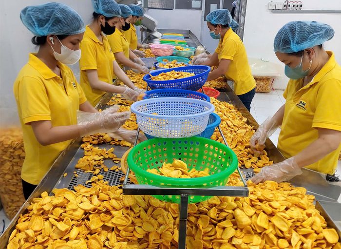 Công ty Bình Minh Food mang sản phẩm từ tài nguyên bản địa vào hành trình chuyển đổi xanh. Ảnh: GIA KHÁNH