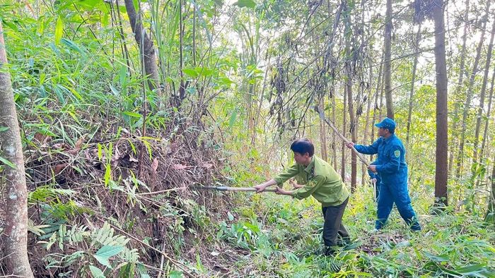 Lực lượng chức năng phát dọn thực bì, cành khô để phòng, chống cháy rừng.