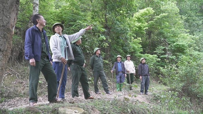Tổ bảo vệ rừng thôn Lìm Thái, xã Tú Lệ cùng lực lượng trạm quản lý, bảo vệ rừng tuần tra rừng.