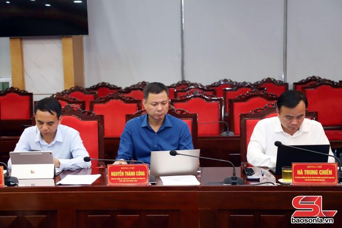 Các đồng chí Phó Chủ tịch UBND tỉnh dự hội nghị.