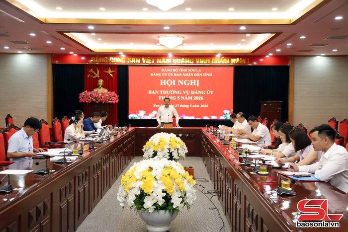 Hội nghị Ban Thường vụ Đảng ủy UBND tỉnh tháng 5/2026.