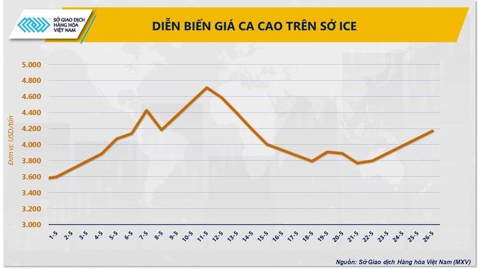 Diễn biến giá ca cao trên Sở ICE. Nguồn: MXV