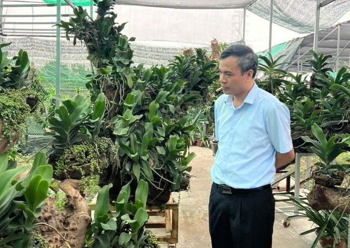 Lãnh đạo xã An Khánh tham quan vườn lan ở Đông La. Ảnh: Nhân vật cung cấp