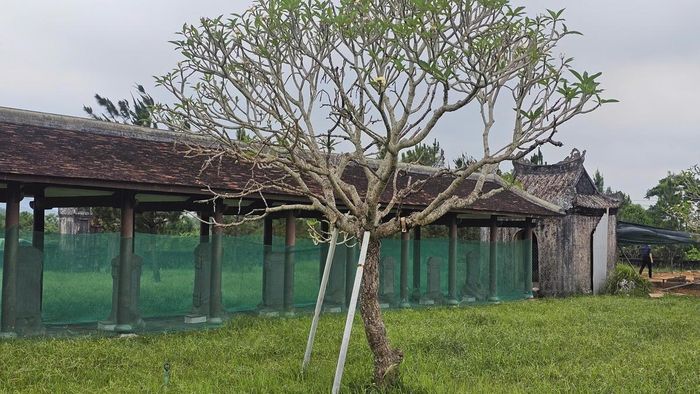 Hiện nay, đơn vị thi công đang triển khai các hạng mục Đại Thành Điện và hoàn thành hạ giải Văn Miếu Môn. Theo tiến độ đề ra, đến hết năm 2026, sẽ hoàn thành hệ khung, mái Đại Thành Điện cùng các hạng mục Văn Miếu Môn, Ngọc Chấn Môn... Sau khi phục dựng và đưa vào sử dụng, di tích Văn Thánh Miếu sẽ trở thành điểm tham quan hấp dẫn, đồng thời là nơi phù hợp để tổ chức các hoạt động văn hóa, giáo dục.