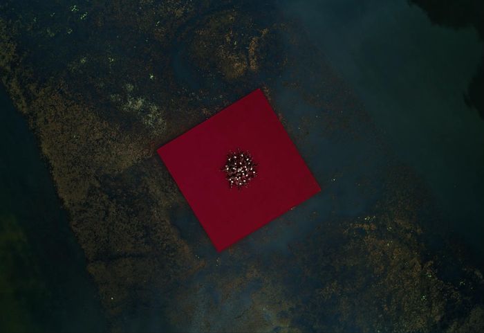  Quần thể danh thắng Tràng An hiện là di sản kép duy nhất của Việt Nam được UNESCO công nhận, gồm liên khu Tràng An - Tam Cốc - Bích Động - cố đô Hoa Lư - rừng đặc dụng Hoa Lư. 