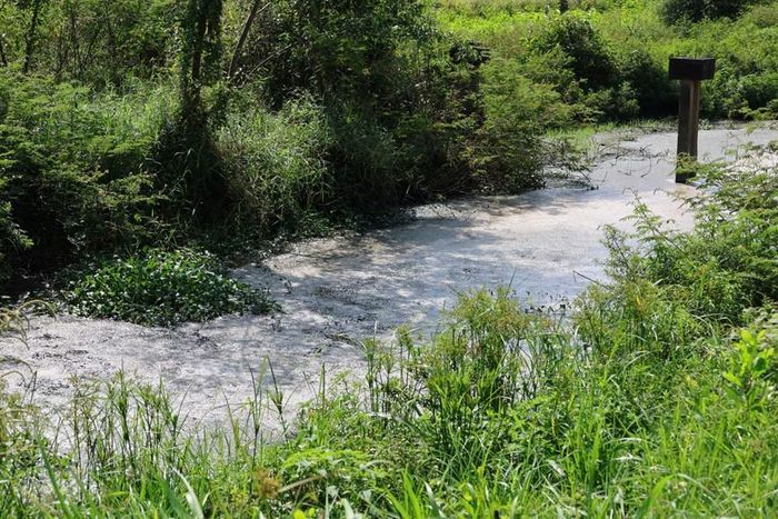Quảng Ngãi yêu cầu tăng cường kiểm tra hoạt động xả thải, khơi thông dòng chảy và xử lý các “điểm nóng” ô nhiễm môi trường