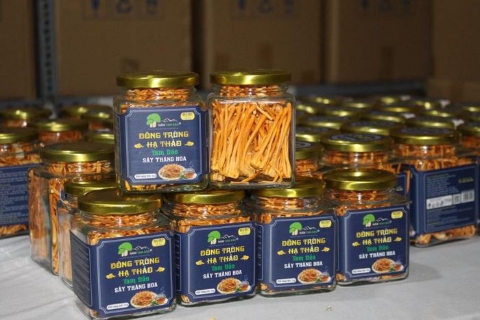 Sản phẩm Đông trùng hạ thảo của HTX Nấm Tam Đảo