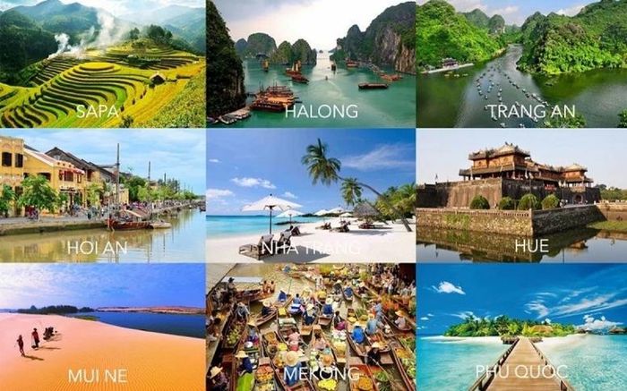 UBND các tỉnh, thành phố trực thuộc trung ương tăng cường kiểm tra, giám sát hoạt động du lịch trên địa bàn, kịp thời phát hiện, chấn chỉnh, xử lý nghiêm các hành vi vi phạm pháp luật.