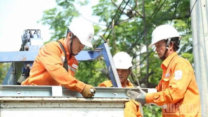 Công nhân Điện lực Đà Nẵng thi công bảo dưỡng lưới điện.