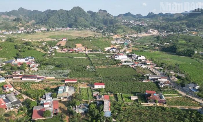 Theo phản ánh của người dân Tổ dân phố Chiềng Đi, phường Vân Sơn, có hơn 50 hộ đã có giấy chứng nhận quyền sử dụng đất nhưng vẫn bị chồng lấn với đất của Vinatea Mộc Châu sau đợt đo đạc năm 2015.