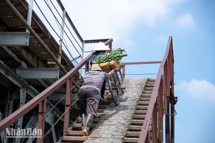 Người dân kiếm sống bám vào những bãi bồi ven sông hàng chục năm qua lại tiếp tục hành trình đẩy những chuyến xe hàng lên cầu, để rong ruổi trên những tuyến phố của Hà Nội, mà không cần phải đi đường vòng như nhiều ngày qua.