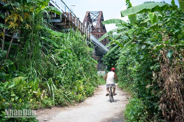 Trong giai đoạn thi công sửa chữa, người dân sống trong khu vực hoặc người từ trong "phố" tìm ra ngoài bãi phải di chuyển vất vả hơn chút, khi phải đi đường vòng tại những lối đi dưới chân cầu. Các đoạn đường dưới đều được người dân quanh khu vực tự trang bị thêm đèn chiếu sáng bằng năng lượng mặt trời, nên vẫn có thể bảo đảm an toàn cho người di chuyển.