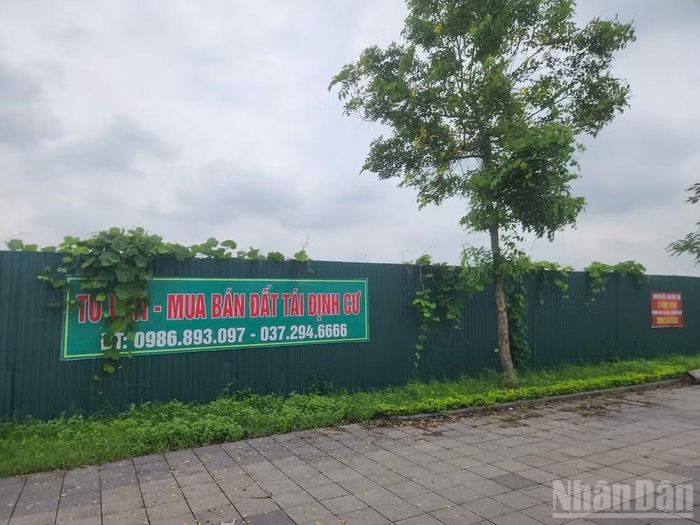 Biển quảng cáo tư vấn, bán đất được giăng khắp nơi tại khu vực tái định cư.