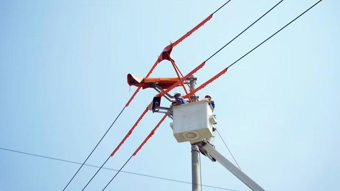  Đội hotline, Công ty Điện lực Tuyên Quang bảo trì đường dây trung áp 22kV. 