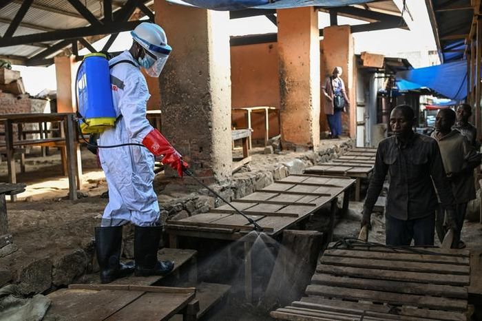 Một nhân viên vệ sinh phun thuốc khử trùng tại chợ ở TP Bunia, tỉnh Ituri - Cộng hòa Dân chủ Congo hôm 23-5 Ảnh: AP