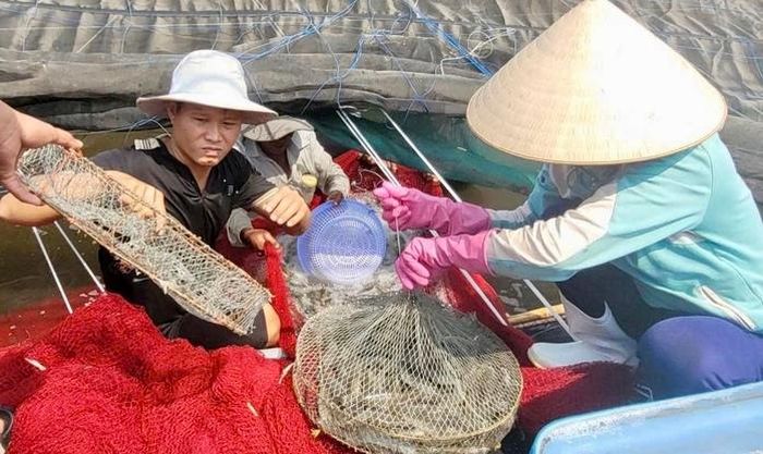 Các tác phẩm giới thiệu mô hình hay, hữu ích trong phát triển ngành nghề nông thôn gắn với bảo vệ môi trường tại TPHCM.