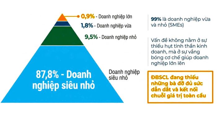 ĐBSCL có mật độ doanh nghiệp thấp và 87,8% doanh nghiệp ở quy mô siêu nhỏ