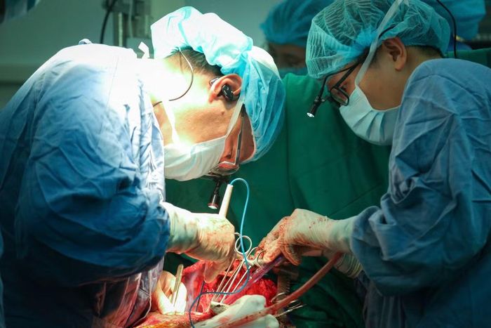 PGS.TS Phạm Hữu Lư – Phó Trưởng khoa Ngoại Tim mạch và Lồng ngực, Trung tâm Tim mạch và Lồng ngực, Bệnh viện Hữu nghị Việt Đức thực hiện ghép phổi cho người bệnh - Ảnh BVCC
