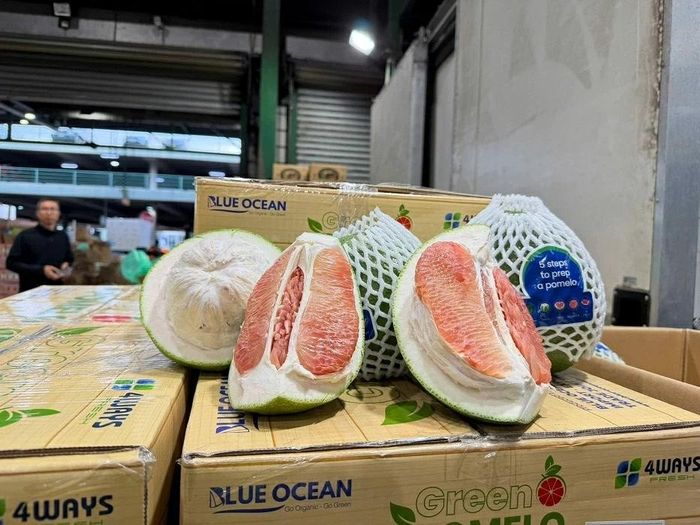 Từ góc độ địa bàn, theo Đại sứ, các doanh nghiệp, địa phương cũng như bộ, ngành của Việt Nam cần tiếp tục làm gì để có thể khẳng định chỗ đứng vững chắc tại thị trường Australia trong thời gian tới?