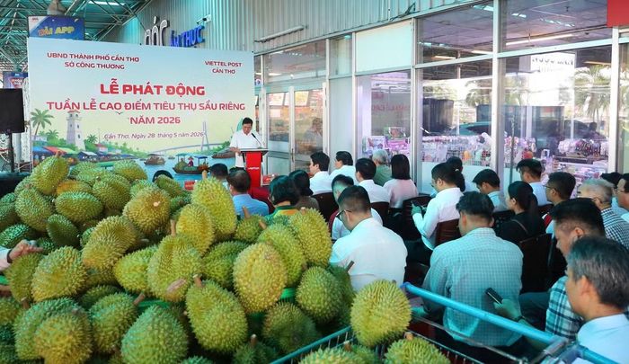 Cần Thơ kêu gọi cán bộ, công chức, viên chức, người lao động mua ủng hộ sầu riêng của các nhà vườn, hợp tác xã.