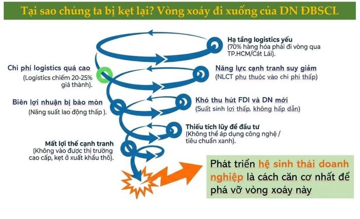 Vòng xoáy đi xuống của DN vùng ĐBSCL.