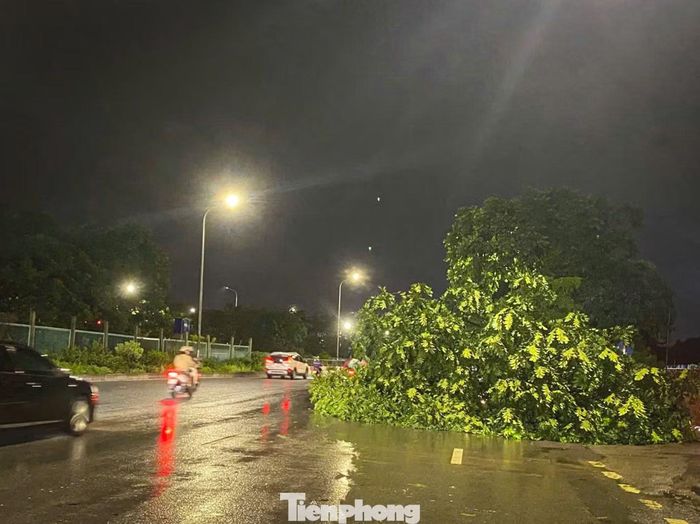 Mưa to kèm gió giật mạnh khiến nhiều cây xanh gãy đổ, chắn ngang dọc đường gom Đại lộ Thăng Long.