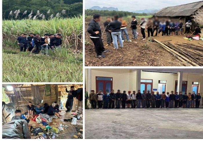 Lực lượng chức năng tỉnh Thanh Hóa đã bắt giữ nhiều đối tượng liên quan đến ma túy.