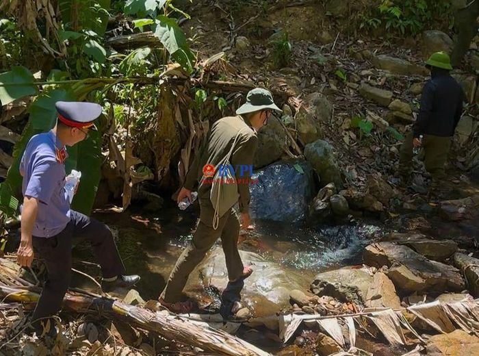  Kiểm sát viên cùng đoàn kiểm tra vào hiện trường rừng bị chặt phá.