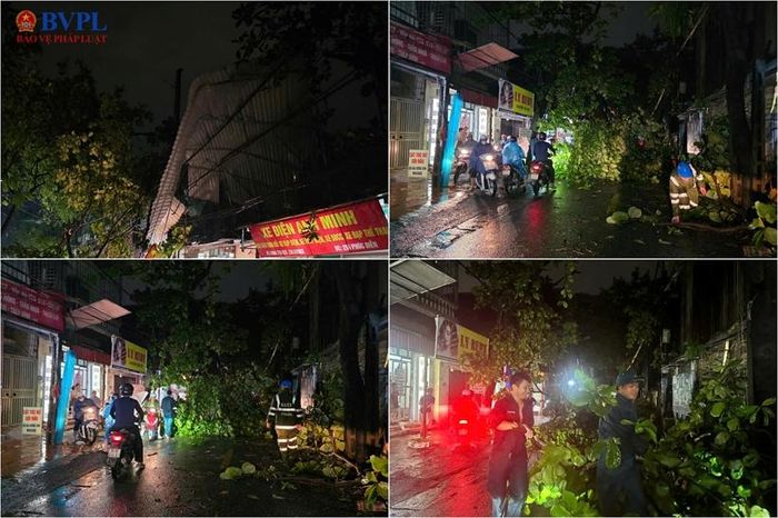 Cây đổ, mái tôn bị tốc trong cơn mưa lớn ở Hà Nội.