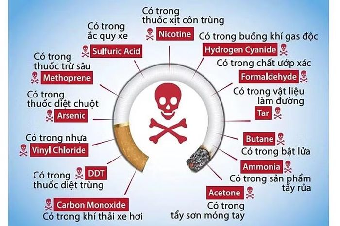  Những chất nguy hại có trong thuốc lá. Ảnh minh họa. 