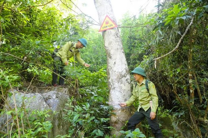 Lực lượng kiểm lâm Khu Bảo tồn Thiên nhiên Pù Huống phát quang bụi rậm, lau lách, dây leo tại điểm có biển báo cấm lửa. (Ảnh: Xuân Tiến/TTXVN)