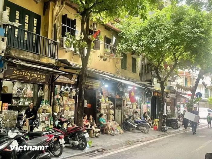 Các địa phương báo cáo về kết quả sắp xếp, số lượng giảm và số lượng còn lại sau sắp xếp.(Ảnh: Vietnam+)