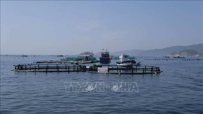 Việc thu gom rác giúp các vùng nuôi biển công nghiệp ở Khánh Hòa giảm rác thải. Ảnh: Đặng Tuấn/TTXVN