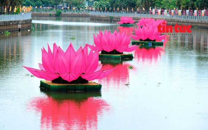 Những đóa hoa sen "khổng lồ" trên kênh Nhiêu Lộc - Thị Nghè, đoạn qua phường Nhiêu Lộc được các ni sư, Phật tử của Quan âm tu viện trang trí.