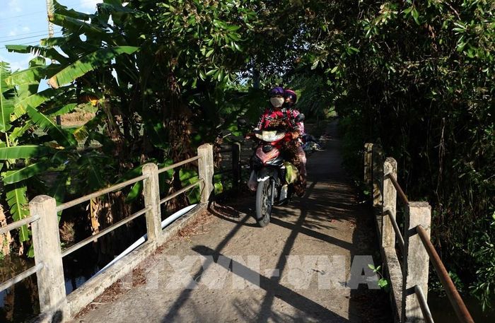 Cây cầu bê tông cốt thép tại phường Vị Tân, thành phố Cần Thơ. Ảnh: Duy Khương - TTXVN