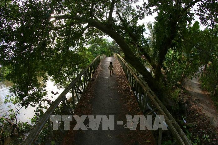 Cây cầu sắt tại xã Hòa An, thành phố Cần Thơ. Ảnh: Duy Khương - TTXVN