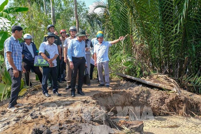 Lãnh đạo Sở Nông nghiệp và Môi trường thành phố Cần Thơ cùng chính quyền xã Nhơn Mỹ khảo sát một điểm sạt lở bờ sông Rạch Mọp. Ảnh: Thanh Liêm - TTXVN