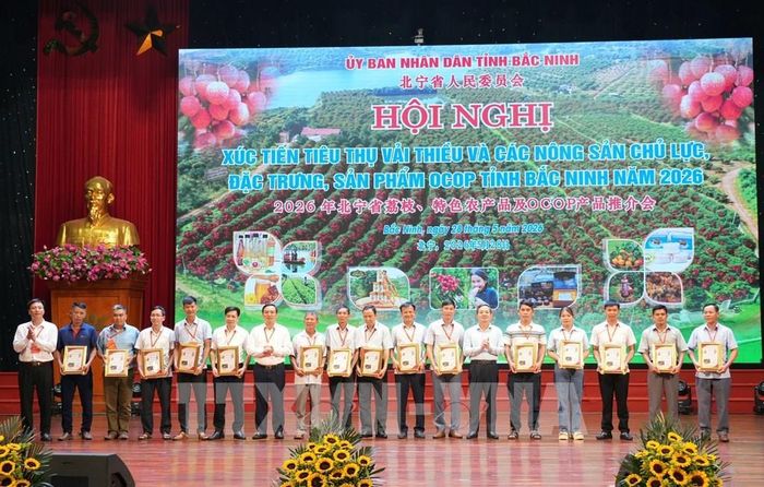 Ông Phạm Hoàng Sơn, Phó Bí thư Tỉnh ủy, Chủ tịch UBND tỉnh Bắc Ninh, cùng các đại biểu trao Quyết định công nhận “Vườn vải đẹp” năm 2026 (đợt 1) cho các nhà vườn. Ảnh: Việt Hùng - TTXVN
