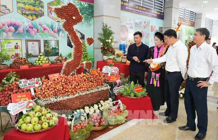 Đại biểu tham quan gian hàng. Ảnh: Việt Hùng - TTXVN