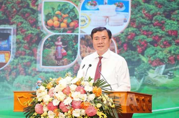 Ông Nguyễn Sinh Nhật Tân, Thứ trưởng Bộ Công Thương phát biểu tại hội nghị. Ảnh: Việt Hùng - TTXVN