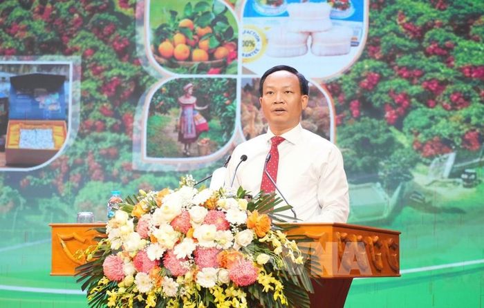 Phó Chủ tịch UBND tỉnh Bắc Ninh Phạm Văn Thịnh phát biểu chiêu thương. Ảnh: Việt Hùng - TTXVN