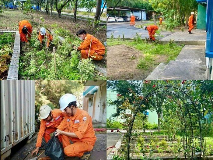 Cán bộ, công nhân viên Công ty chăm sóc vườn hoa trong khuôn viên nhà máy
