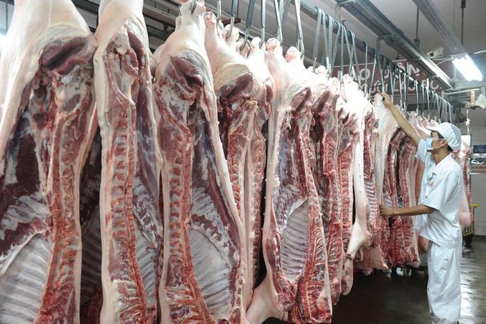 Dây chuyền giết mổ heo tại công ty VISSAN