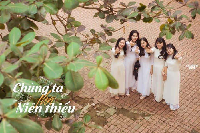 Một thời thanh xuân được lưu giữ dưới bóng cây bàng già lặng lẽ.