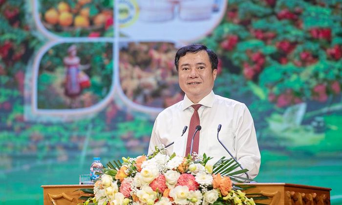  Đồng chí Nguyễn Sinh Nhật Tân, Thứ trưởng Bộ Công Thương phát biểu chỉ đạo tại hội nghị. 