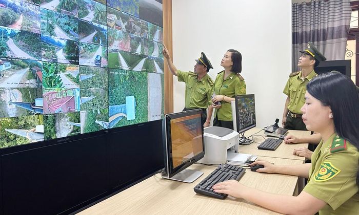  Giám sát phòng, chống cháy rừng tại Chi cục Kiểm lâm tỉnh. 