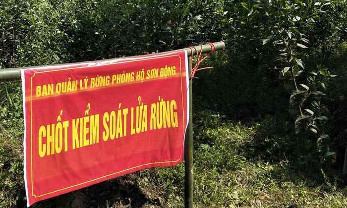  Chốt kiểm soát lửa rừng được lập tại nhiều địa phương nhằm phòng ngừa nguy cơ cháy. 