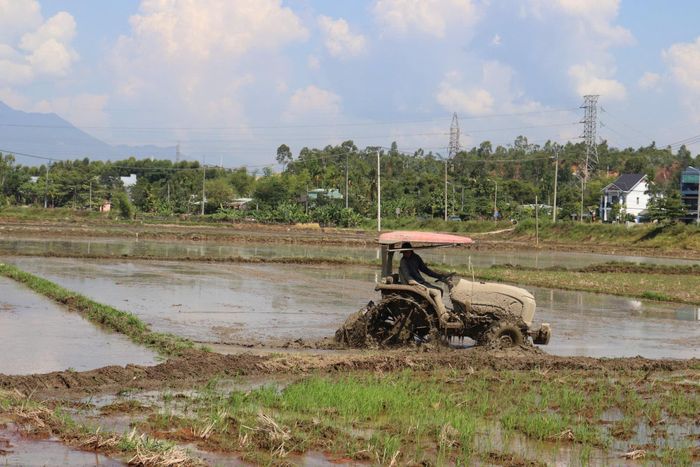 Dưới cái nắng như đổ lửa, công việc càng thêm phần vất vả.